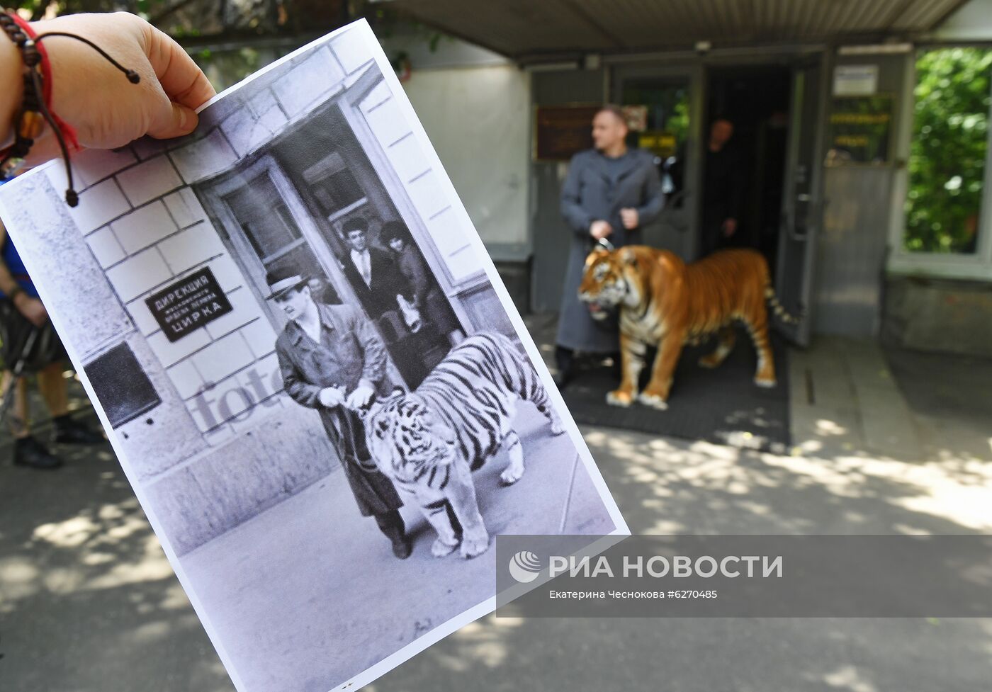 Репетиция в Большом Московском цирке