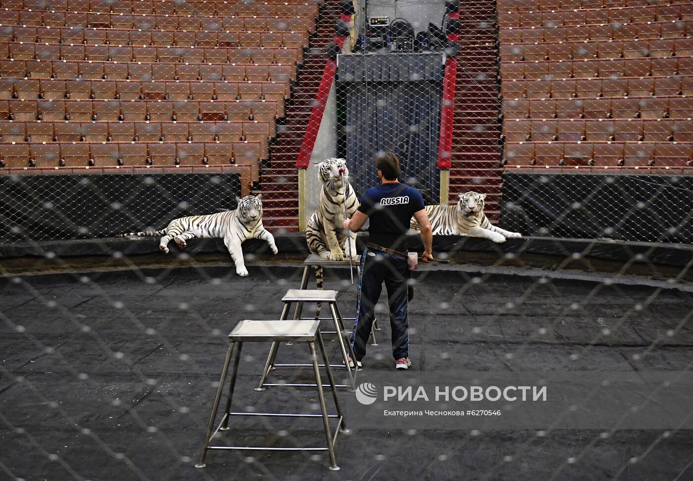Репетиция в Большом Московском цирке
