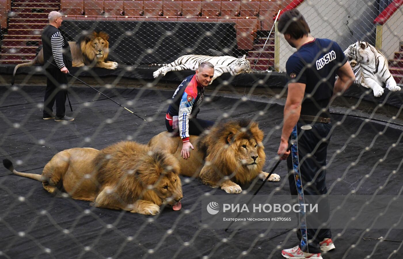 Репетиция в Большом Московском цирке