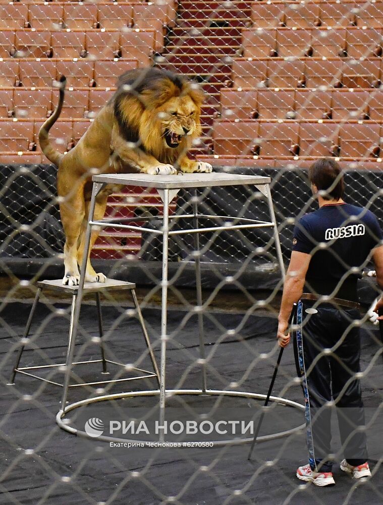 Репетиция в Большом Московском цирке