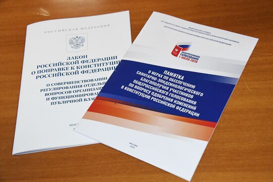 Голосование по внесению поправок в Конституцию РФ в городах России