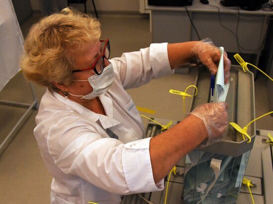 Голосование по внесению поправок в Конституцию РФ в городах России