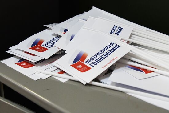 Голосование по внесению поправок в Конституцию РФ в городах России