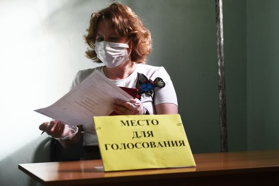 Голосование по внесению поправок в Конституцию РФ в городах России