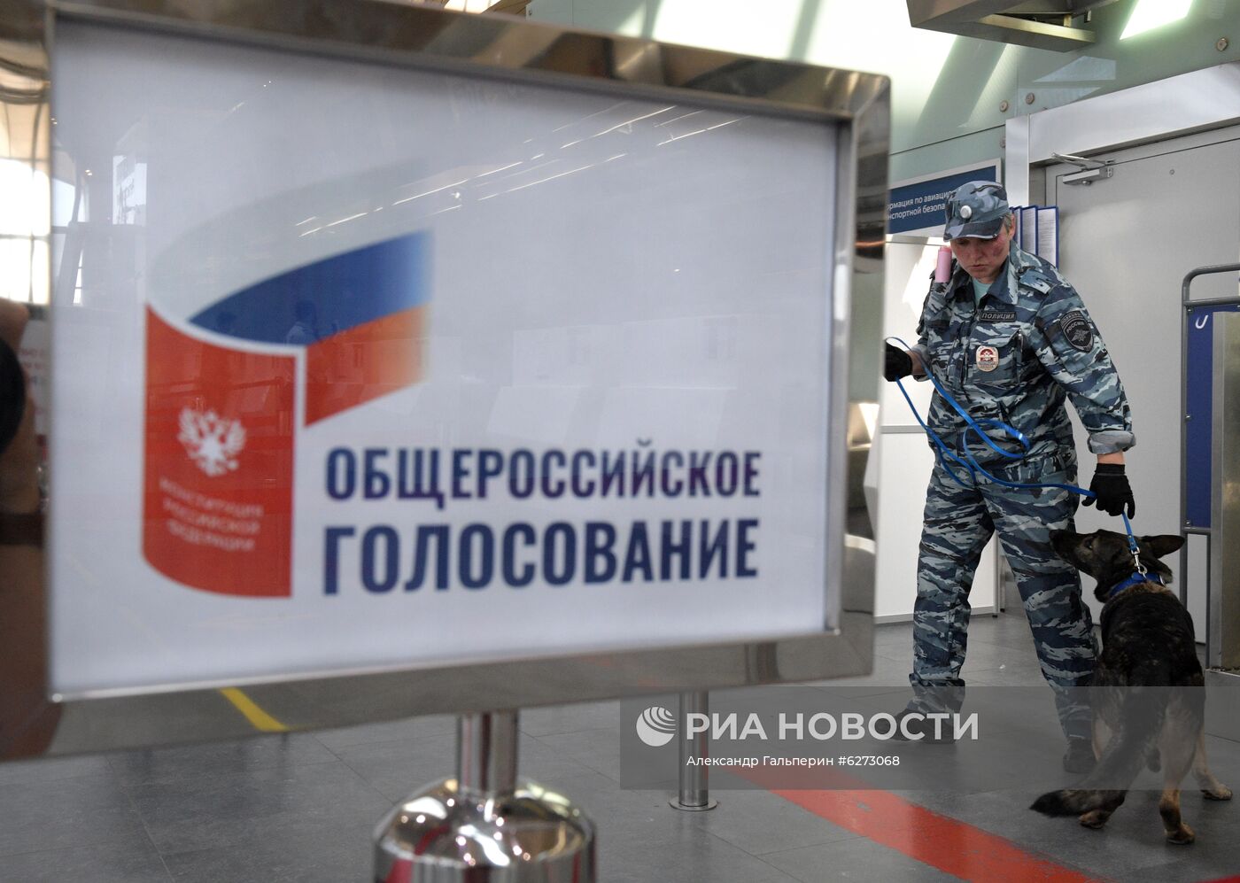Голосование по внесению поправок в Конституцию РФ в городах России