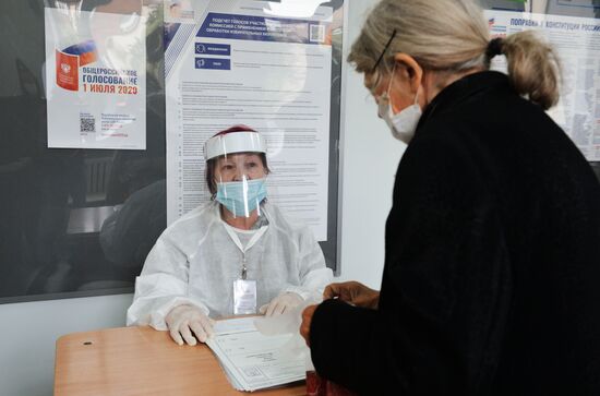 Голосование по внесению поправок в Конституцию РФ в городах России