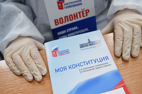 Голосование по внесению поправок в Конституцию РФ в городах России