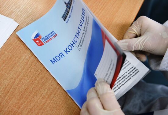 Голосование по внесению поправок в Конституцию РФ в городах России