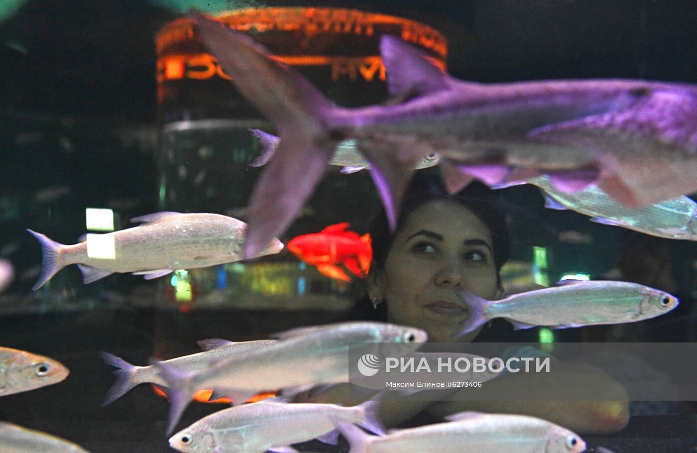 День мореплавателя в "Москвариуме"