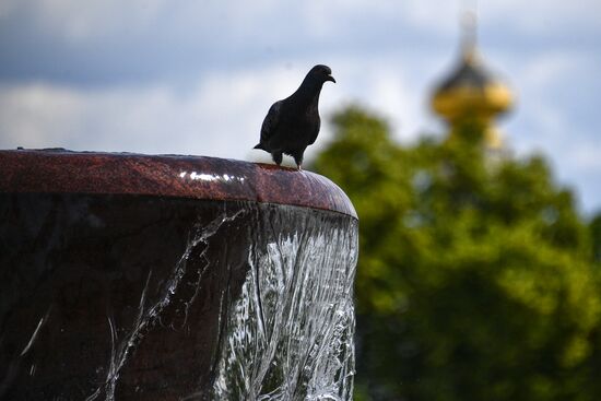 Фонтан Витали на Театральной площади