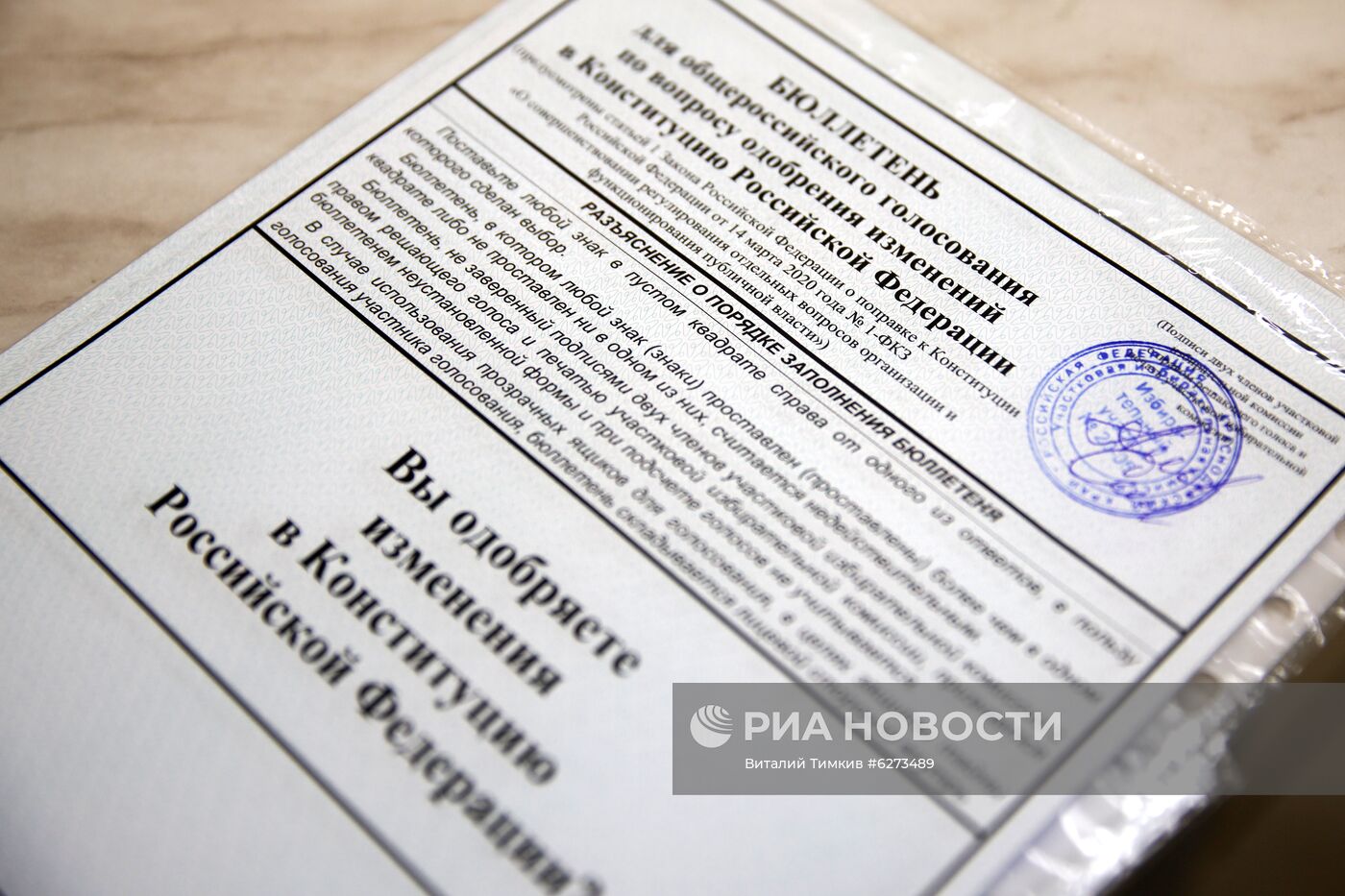 Голосование по внесению поправок в Конституцию РФ в городах России