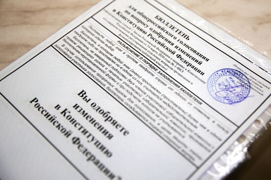 Голосование по внесению поправок в Конституцию РФ в городах России