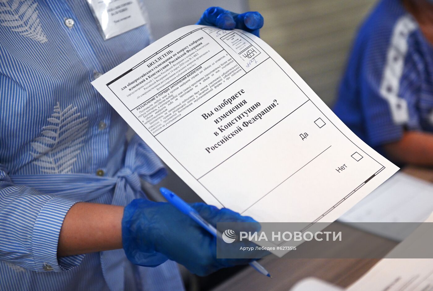 Голосование по внесению поправок в Конституцию РФ в городах России