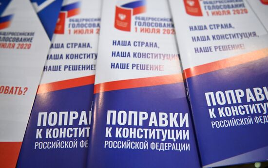 Голосование по внесению поправок в Конституцию РФ в городах России