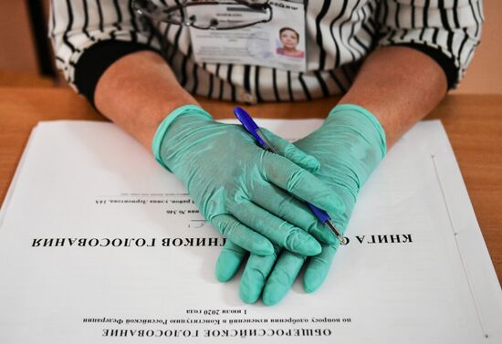 Голосование по внесению поправок в Конституцию РФ в городах России