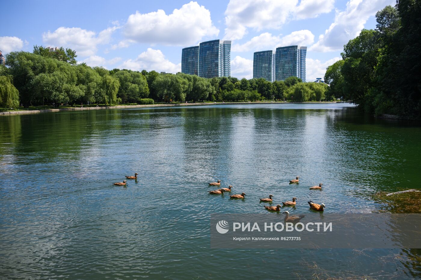 Благоустройство парка Дружбы