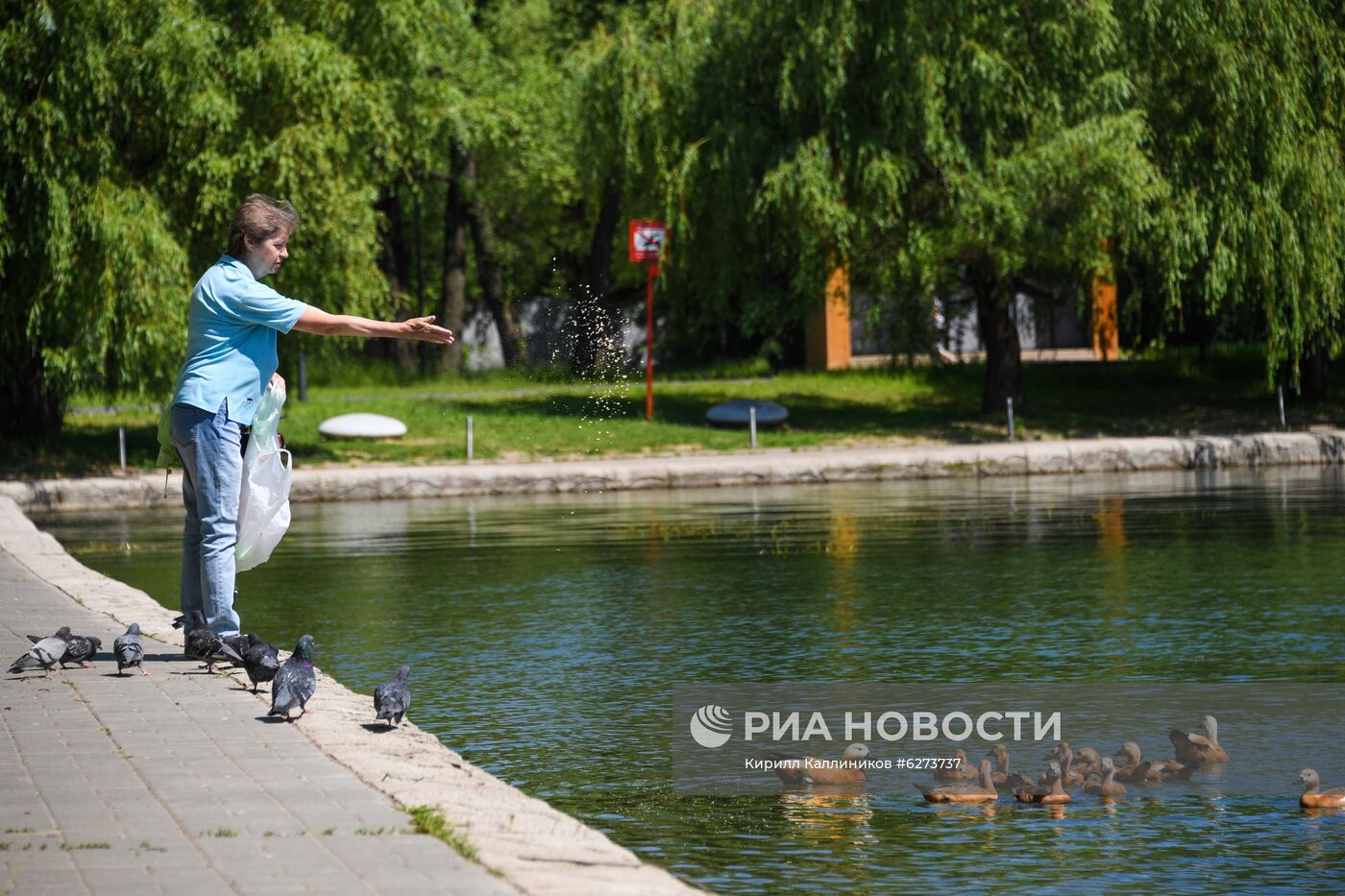 Благоустройство парка Дружбы