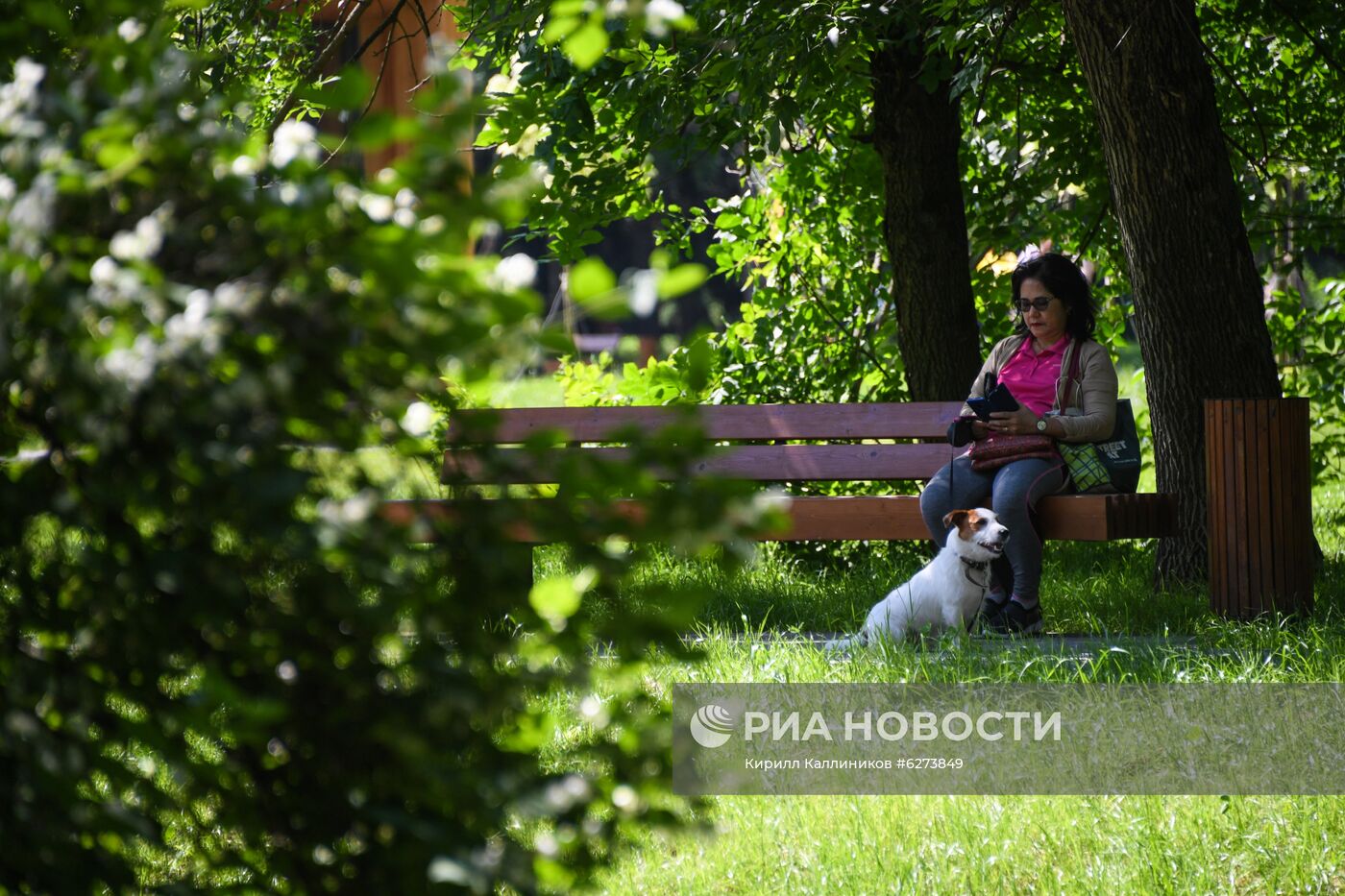 Благоустройство парка Дружбы