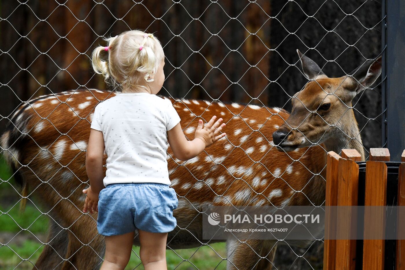 Новосибирский зоопарк возобновил работу после карантина