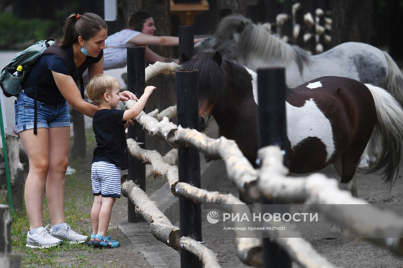 Новосибирский зоопарк возобновил работу после карантина