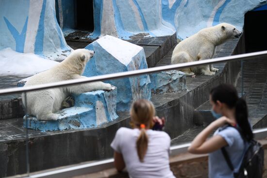 Новосибирский зоопарк возобновил работу после карантина
