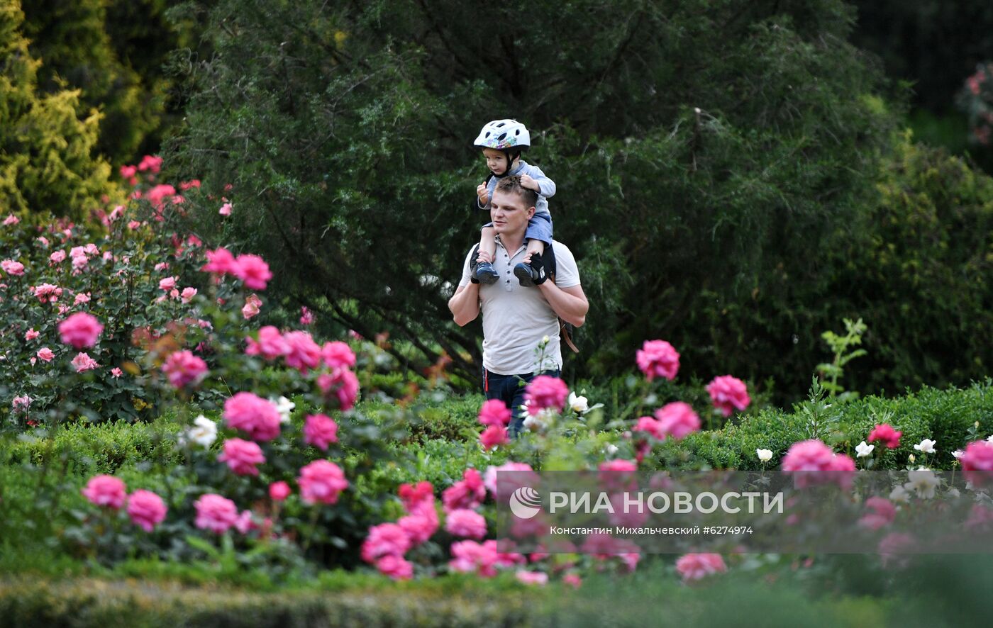 Отдыхающие в Гагаринском парке в Крыму