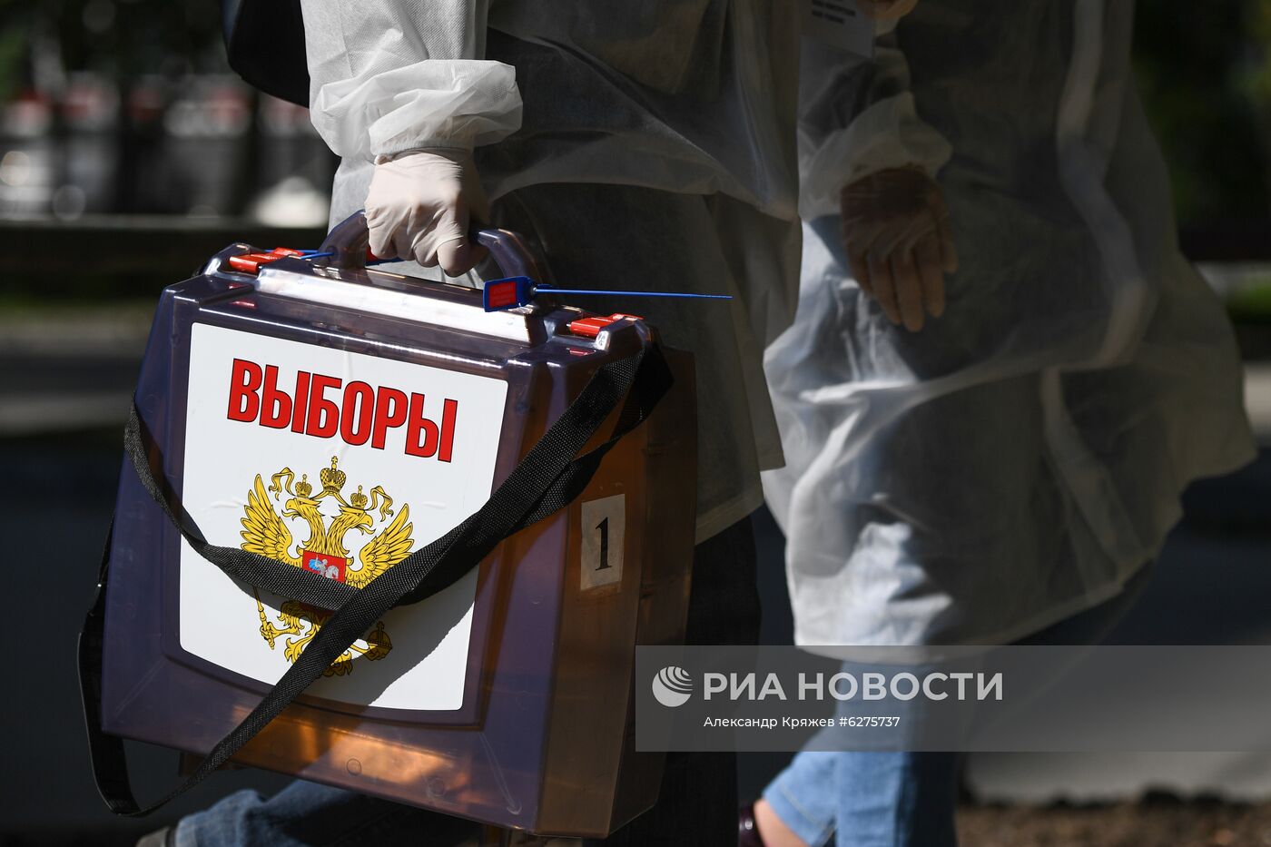 Голосование по внесению поправок в Конституцию РФ в регионах России