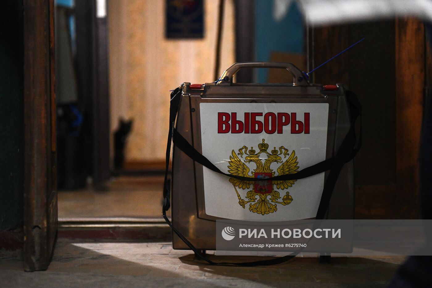 Голосование по внесению поправок в Конституцию РФ в регионах России