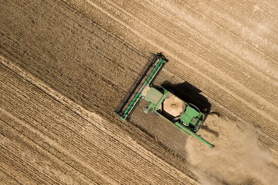 Уборка урожая зерновых в Краснодарском крае