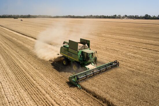 Уборка урожая зерновых в Краснодарском крае
