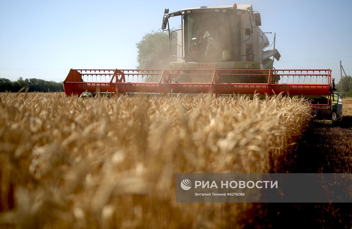 Уборка урожая зерновых в Краснодарском крае