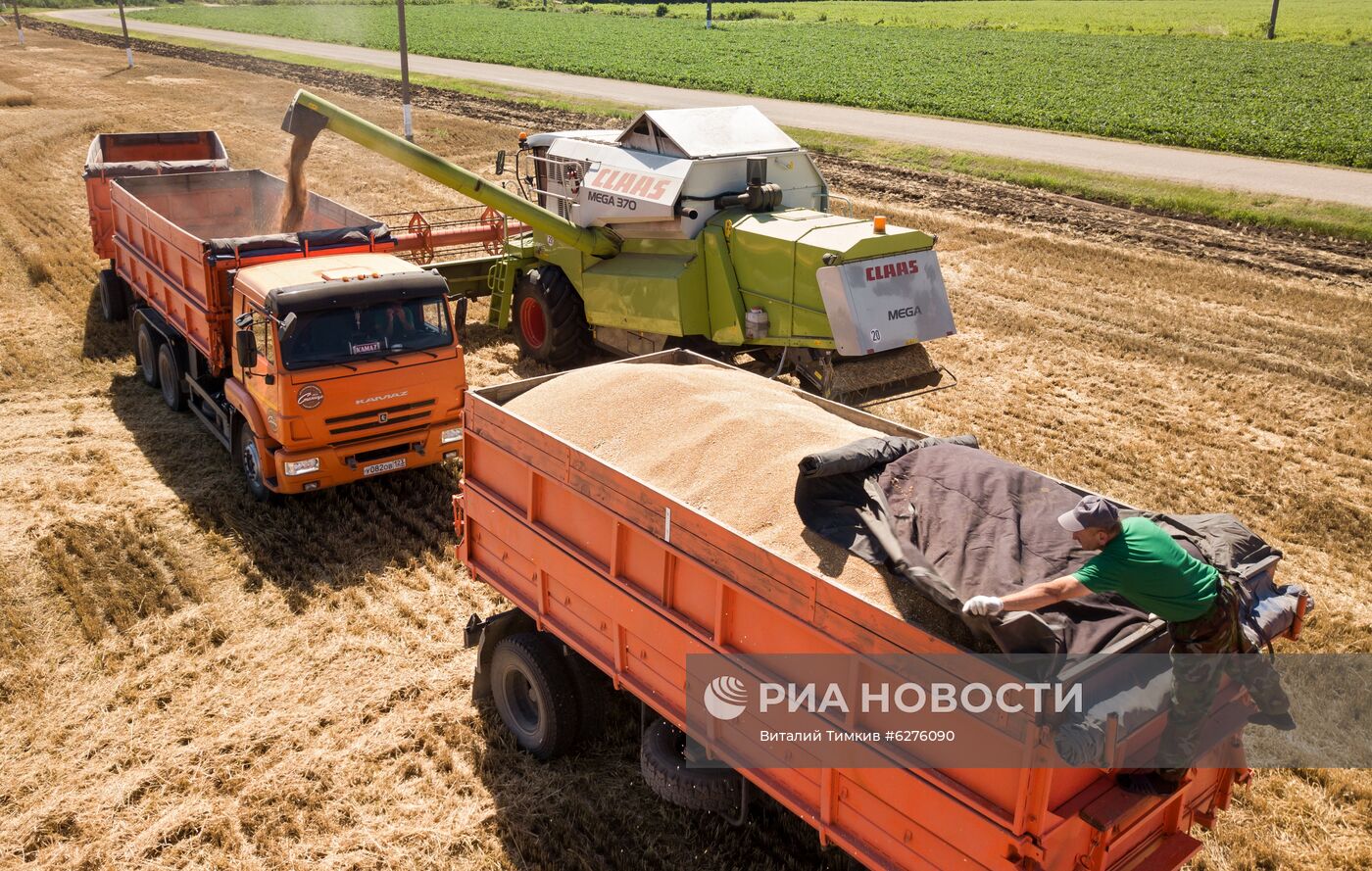 Уборка урожая зерновых в Краснодарском крае