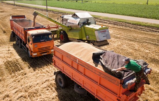 Уборка урожая зерновых в Краснодарском крае