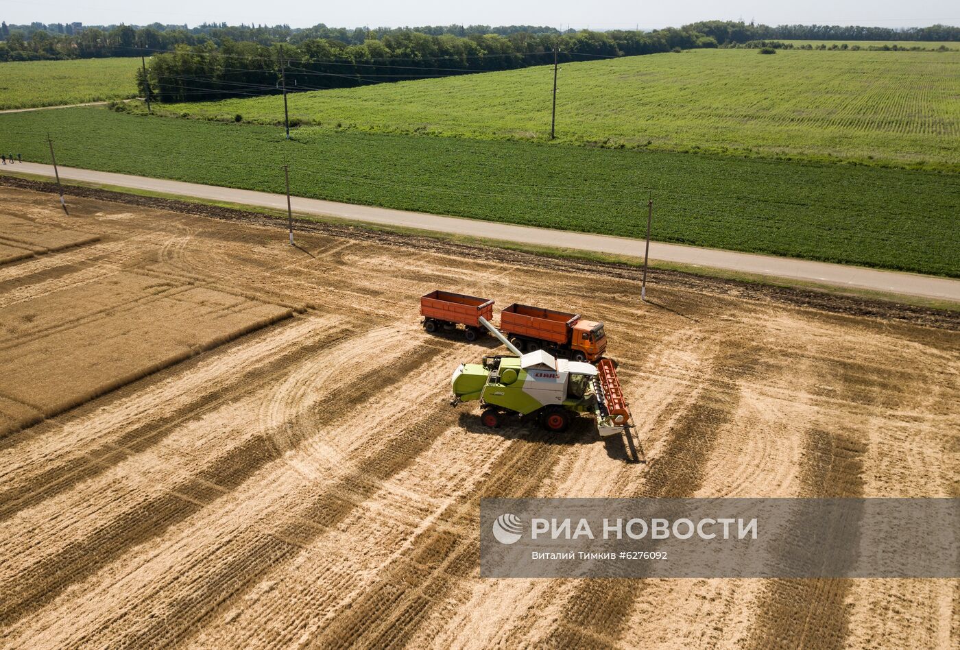Уборка урожая зерновых в Краснодарском крае