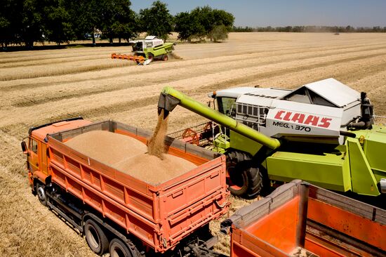 Уборка урожая зерновых в Краснодарском крае