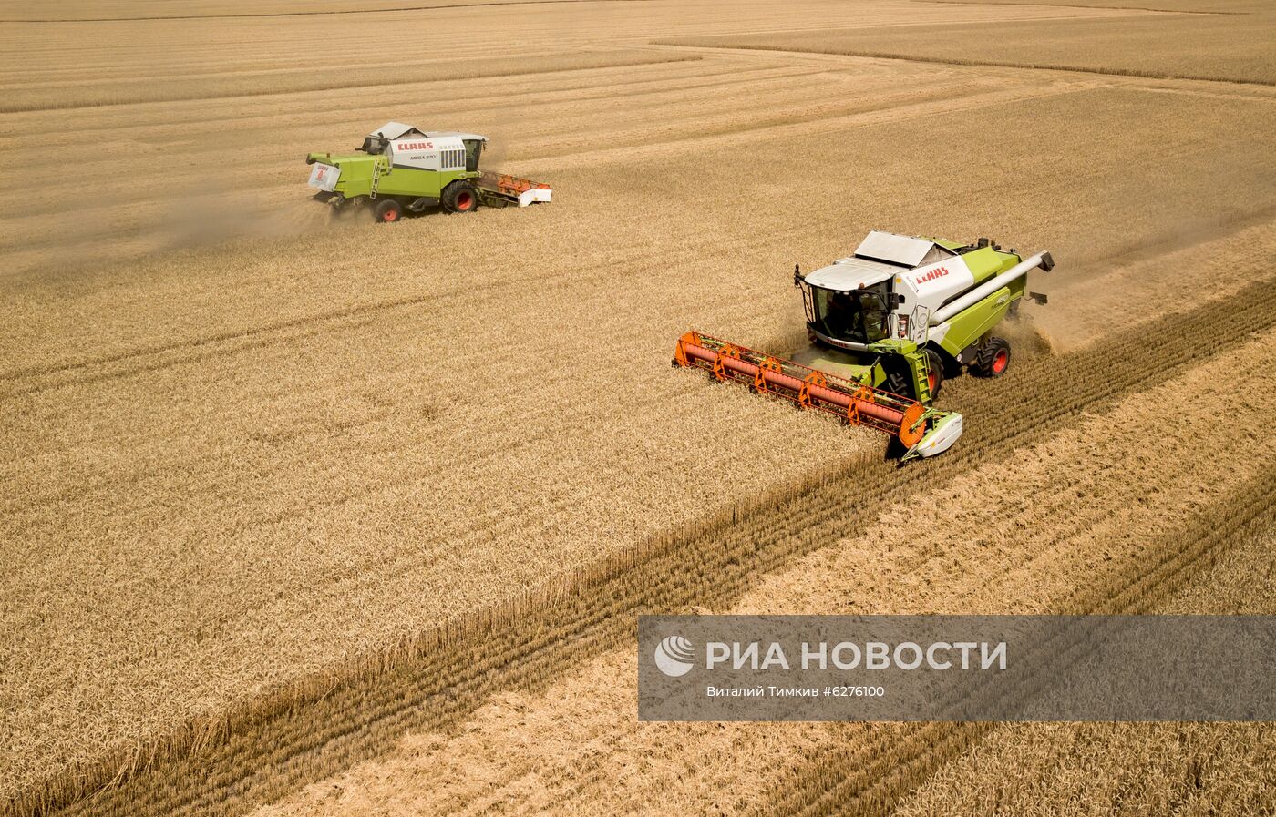 Уборка урожая зерновых в Краснодарском крае