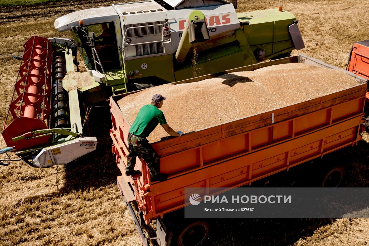 Уборка урожая зерновых в Краснодарском крае