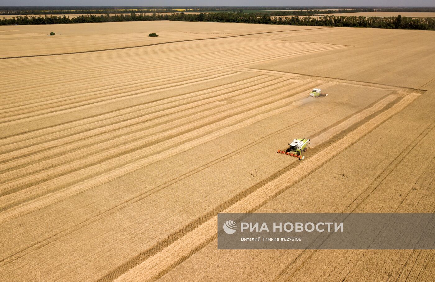 Уборка урожая зерновых в Краснодарском крае