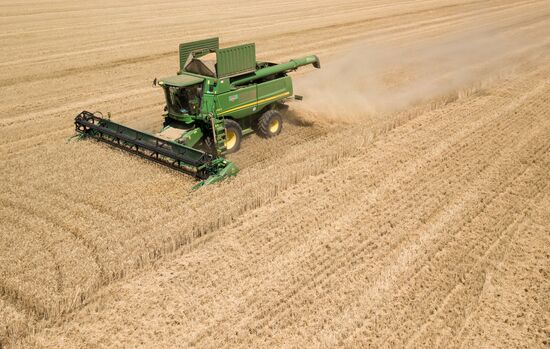 Уборка урожая зерновых в Краснодарском крае