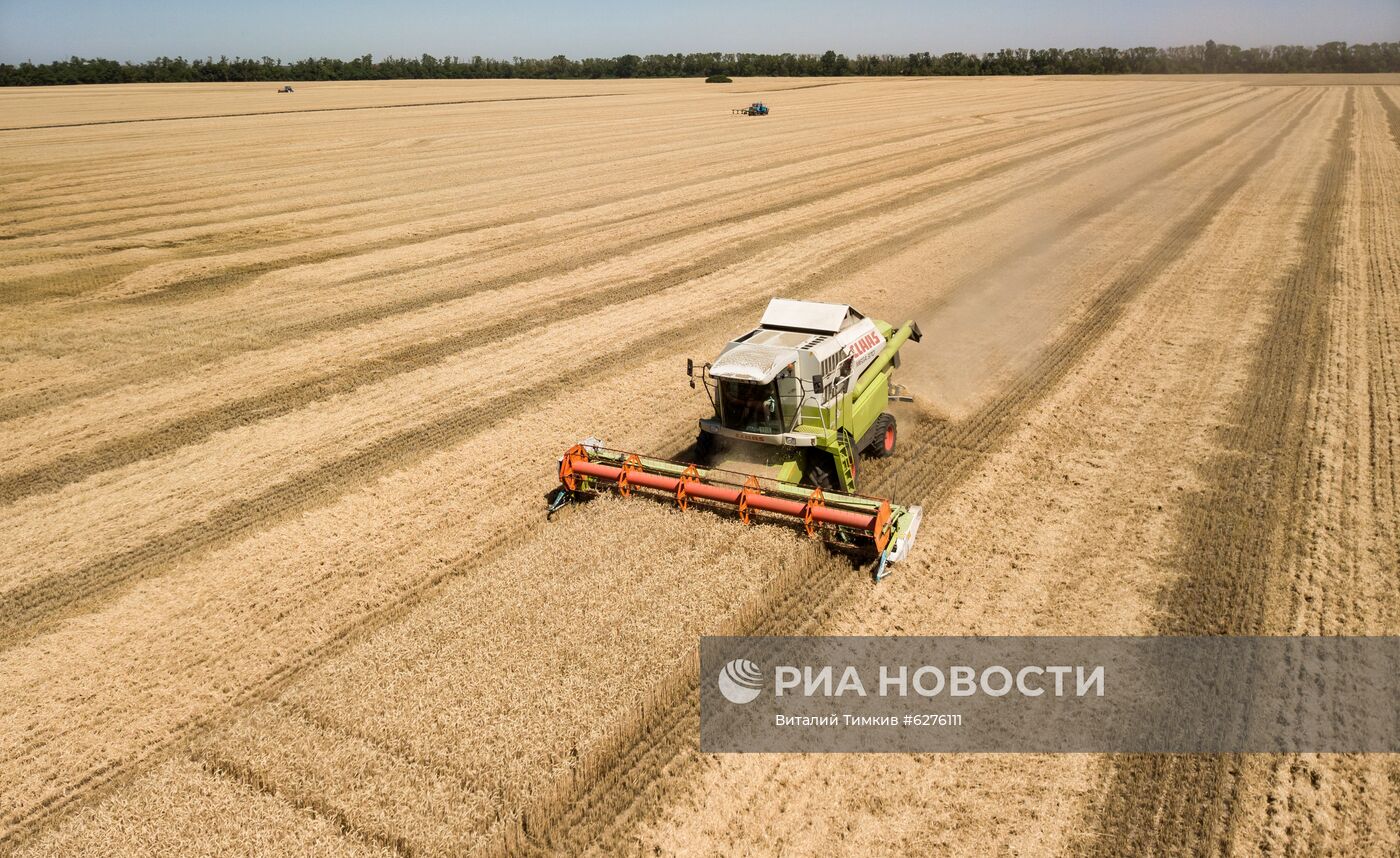 Уборка урожая зерновых в Краснодарском крае