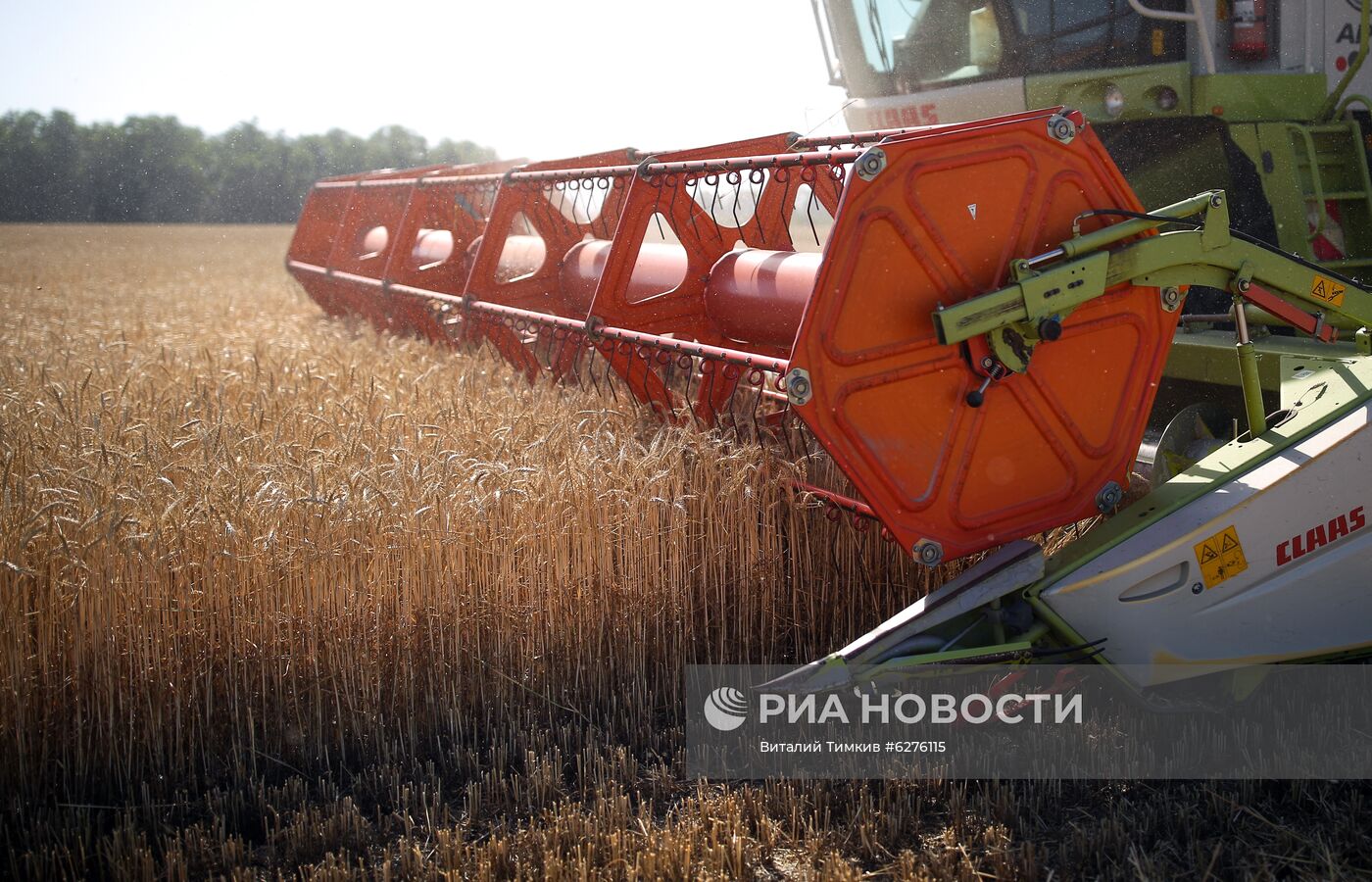 Уборка урожая зерновых в Краснодарском крае