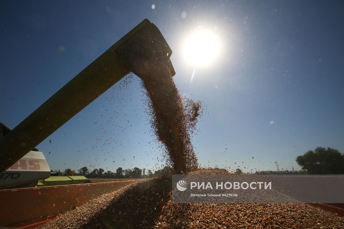 Уборка урожая зерновых в Краснодарском крае