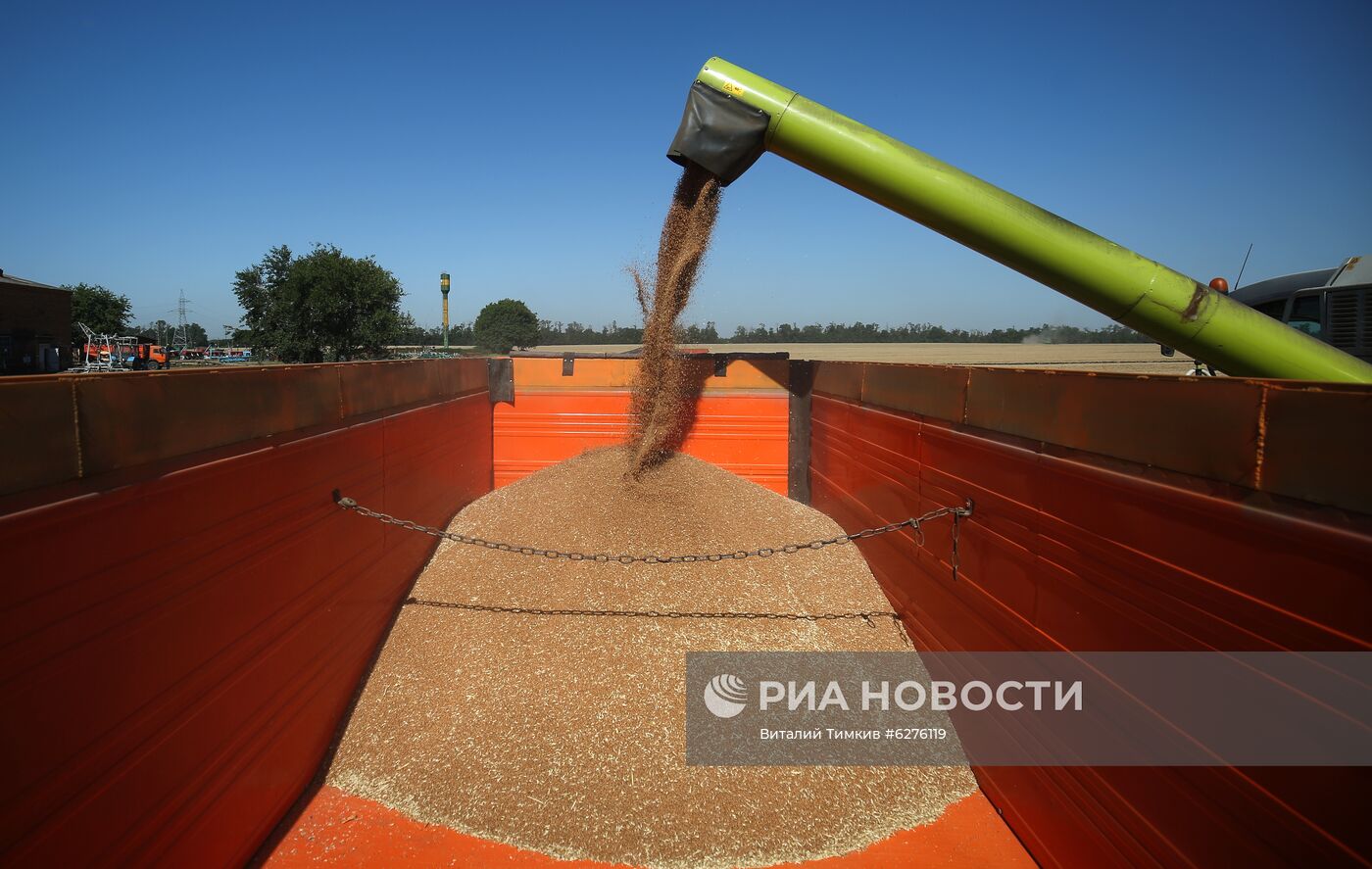 Уборка урожая зерновых в Краснодарском крае