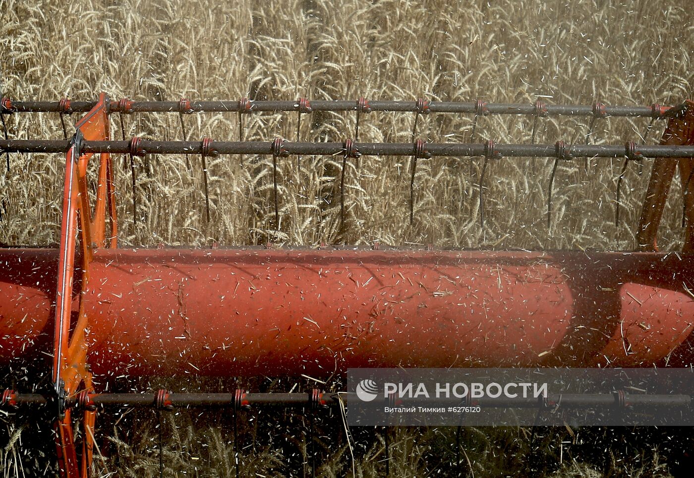 Уборка урожая зерновых в Краснодарском крае