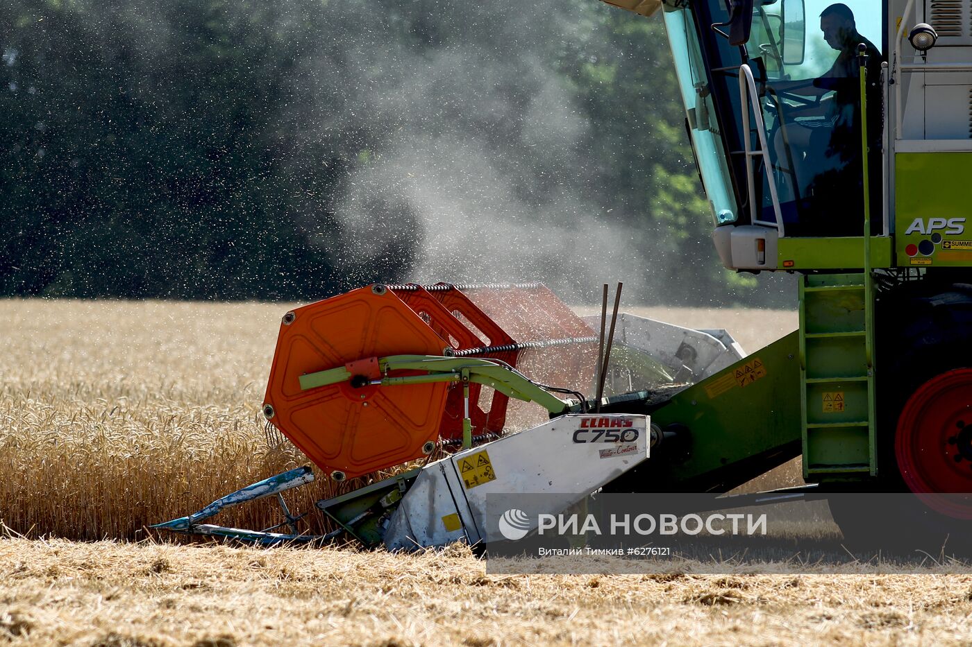 Уборка урожая зерновых в Краснодарском крае