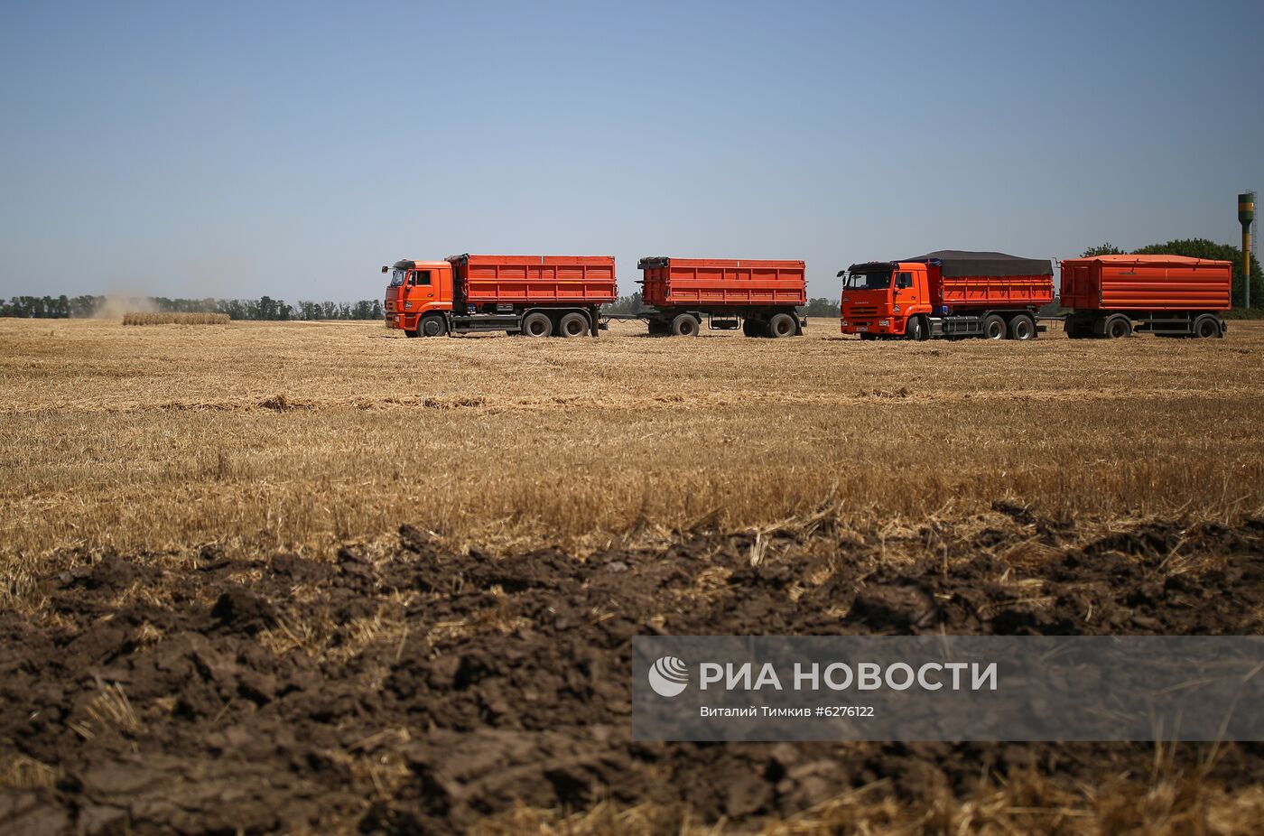 Уборка урожая зерновых в Краснодарском крае