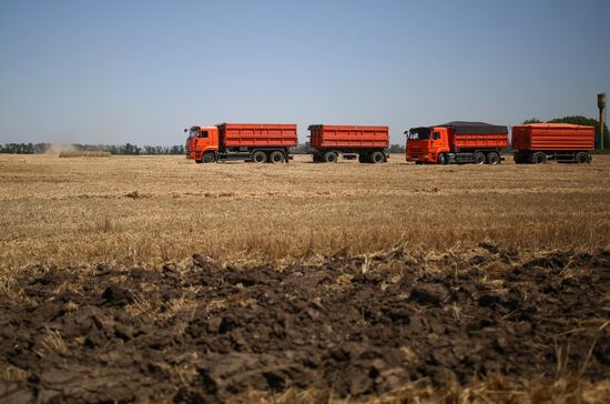 Уборка урожая зерновых в Краснодарском крае