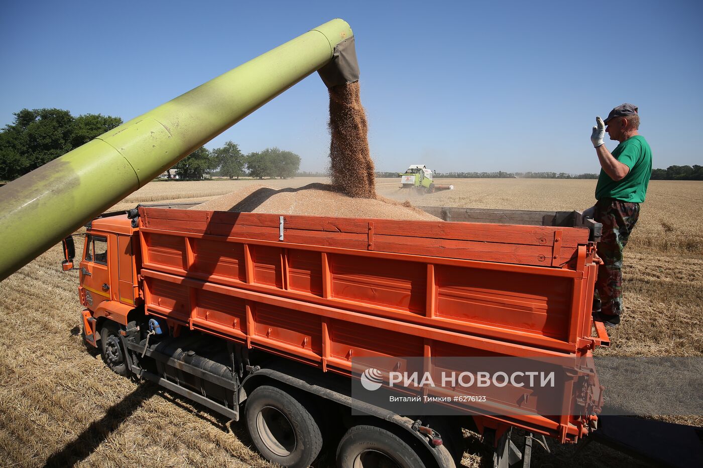 Уборка урожая зерновых в Краснодарском крае