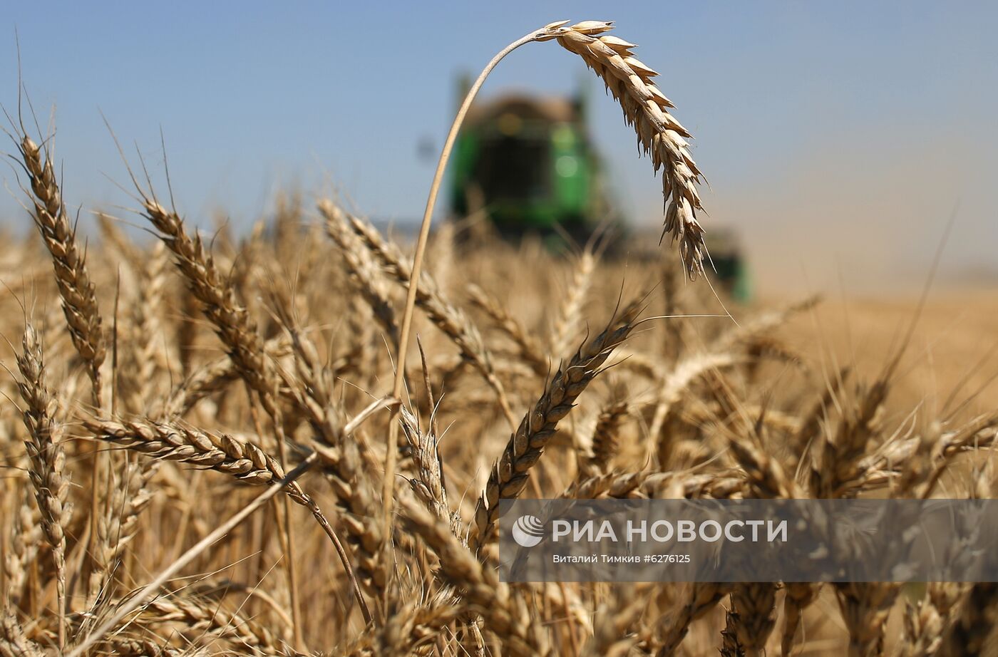 Уборка урожая зерновых в Краснодарском крае