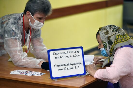 Голосование по внесению поправок в Конституцию РФ в Москве